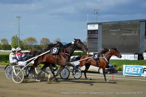 Sabato di trotto a Vinovo, tengono banco i testa a testa