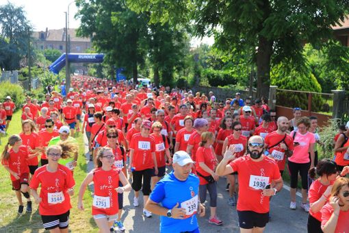 Chivasso, Stramandriamo ritorna per l'attesissima quinta edizione Chivasso, Stramandriamo ritorna per l'attesissima quinta edizione