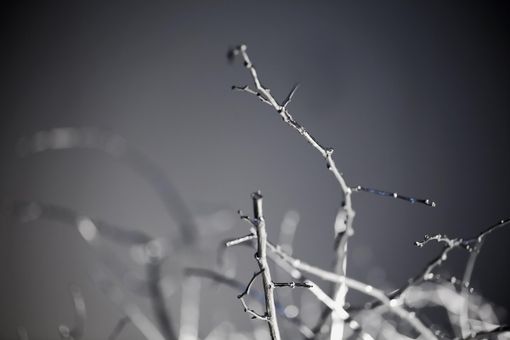 A Pavarolo la mostra d Maura Banfo “Running from safety”