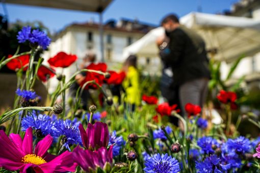 Agriflor: nuovo appuntamento in piazza Vittorio Veneto
