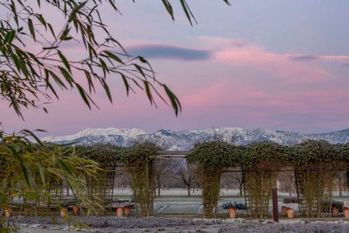Alla Reggia di Venaria, l'ultimo appuntamento "green" con il paesaggista Fernando Caruncho
