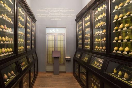 In foto una parte delle riproduzioni realizzate da Francesco Garnier Valletti In foto una parte delle riproduzioni realizzate da Francesco Garnier Valletti