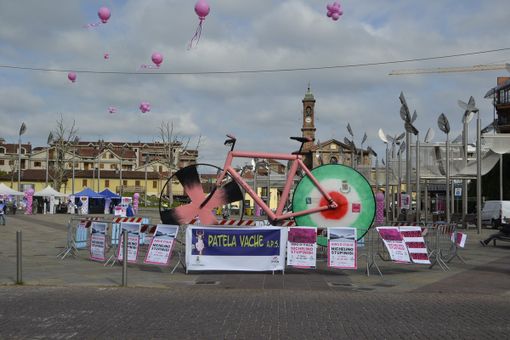 nichelino in rosa nichelino in rosa