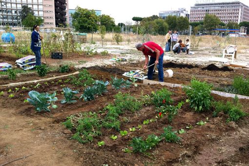 Frutteti a Torino, in Comune una mozione per la "ruralizzazione" della città Frutteti a Torino, in Comune una mozione per la "ruralizzazione" della città