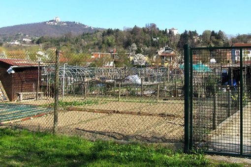 Riaprono gli orti urbani comunali a Torino, organizzazione affidata alle Circoscrizioni: ecco le regole
