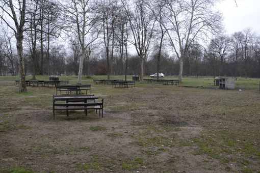 parco del boschetto - immagine di repertorio