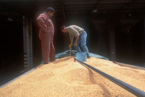 Entro un mese un marchio per il riso piemontese