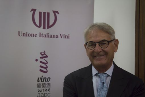 Ottime previsioni per la vendemmia 2018: +15% rispetto al 2017 Ottime previsioni per la vendemmia 2018: +15% rispetto al 2017