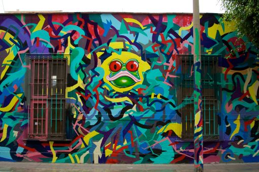 Prorogata al 28 febbraio la data per partecipare al progetto “Scroll! Come ti apro la città” Prorogata al 28 febbraio la data per partecipare al progetto “Scroll! Come ti apro la città”