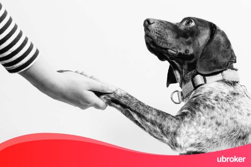 Luce e gas, uBroker: 'come conquistare fiducia in rete'