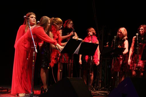 Grugliasco, torna l'appuntamento con le note benefiche di &quot;Un blues per Janis&quot; [FOTO]