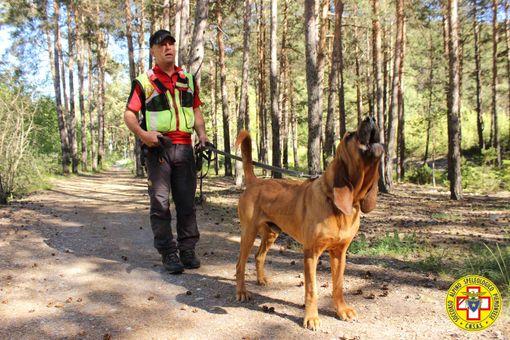 Controlli della Polizia a Torino in zona Aurora con le unità cinofile Controlli della Polizia a Torino in zona Aurora con le unità cinofile
