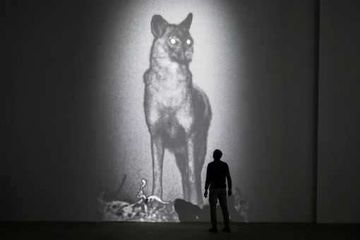 Gli sciacalli dell'artista Michal Rovner, guardiani della Fondazione Merz