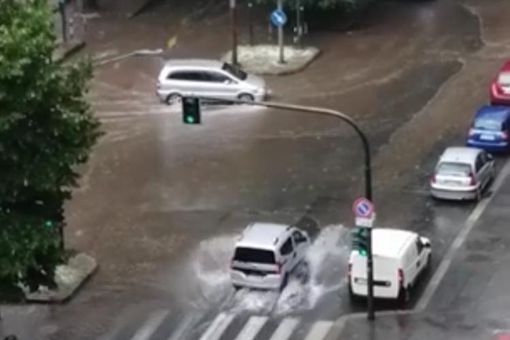 Foto: Francesco Trimani Foto: Francesco Trimani