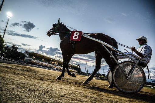 Circo e trotto per la serata d'estate dell'ippodromo di Vinovo Circo e trotto per la serata d'estate dell'ippodromo di Vinovo