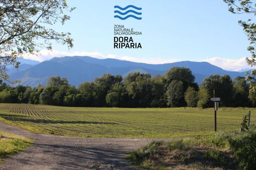 Zona Naturale Salvaguardia Dora Riparia Zona Naturale Salvaguardia Dora Riparia