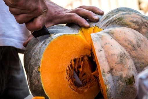 Coldiretti Piemonte: "Con zucca, fiori e agriturismo al via il ponte di Ognissanti" Coldiretti Piemonte: "Con zucca, fiori e agriturismo al via il ponte di Ognissanti"