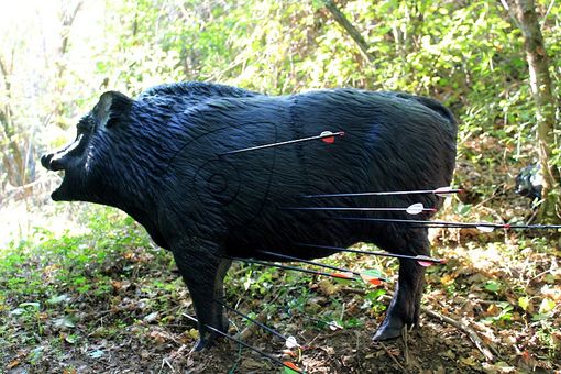 Mondiali 3D, gli arcieri piemontesi convocati Mondiali 3D, gli arcieri piemontesi convocati