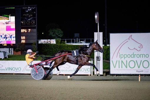 Una grande domenica all'ippodromo di Vinovo Una grande domenica all'ippodromo di Vinovo