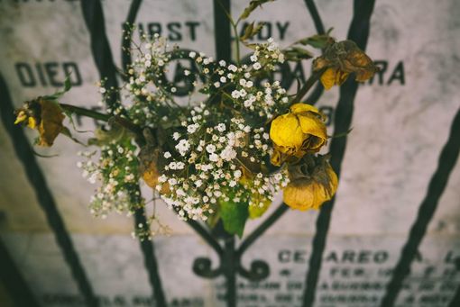 Cimiteri chiusi a Settimo. I fiorai e gli addetti del cimitero portano i fiori ai defunti Cimiteri chiusi a Settimo. I fiorai e gli addetti del cimitero portano i fiori ai defunti