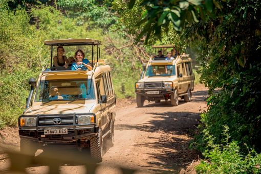 Alla scoperta della Tanzania: guida completa per un safari emozionante Alla scoperta della Tanzania: guida completa per un safari emozionante