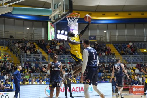 La Reale Mutua si conferma schiacciasassi: anche Piacenza si arrende al Gianni Asti La Reale Mutua si conferma schiacciasassi: anche Piacenza si arrende al Gianni Asti