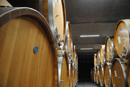 Alla cantina Terre del Barolo un ricco autunno tra vendemmia, fine lavori nei nuovi locali e la novità dello spumante metodo Classico Extra Brut Blanc De Blancs