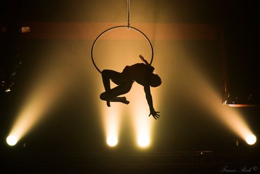 Domani sera a Torino l'incontro dedicato all'inserimento professionale dei giovani artisti di circo contemporaneo Domani sera a Torino l'incontro dedicato all'inserimento professionale dei giovani artisti di circo contemporaneo