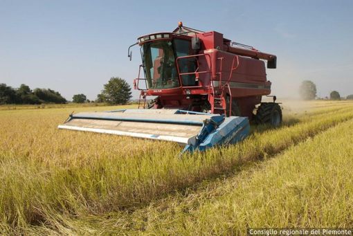 Nuovo regolamento per i distretti biologici