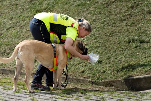 PH CREDITS: ALESSANDRA VISENTIN PH CREDITS: ALESSANDRA VISENTIN