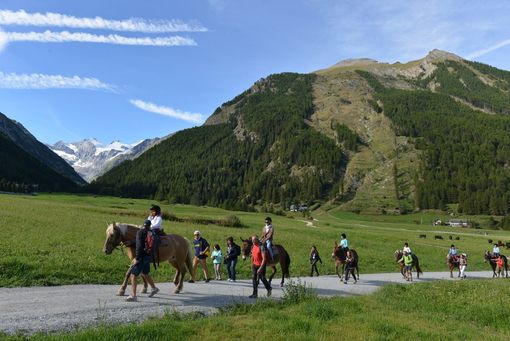 Parco Nazionale Gran Paradiso: al via a luglio &quot;A piedi tra le nuvole&quot;