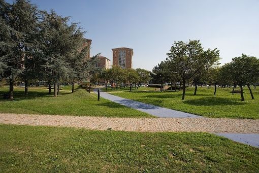 Un pomeriggio per pulire il parco Colonnetti dai rifiuti