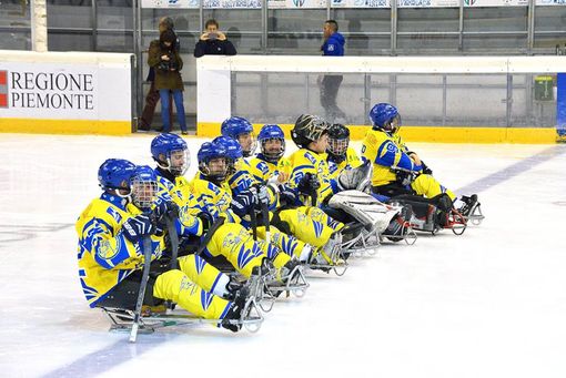 Torna il campionato italiano di para-ice hockey, i Tori Seduti impegnati al PalaTazzoli Torna il campionato italiano di para-ice hockey, i Tori Seduti impegnati al PalaTazzoli