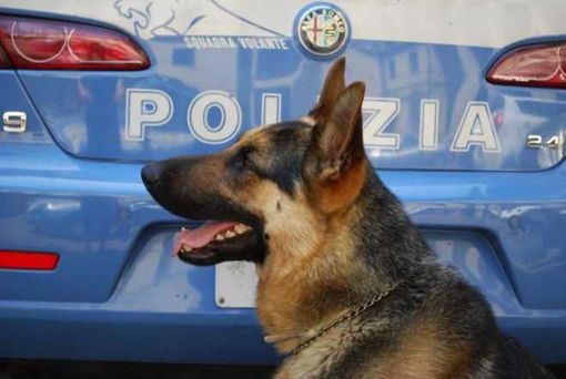 Torino: controllati dalla Polizia diversi locali commerciali nella circoscrizione San Salvario Torino: controllati dalla Polizia diversi locali commerciali nella circoscrizione San Salvario
