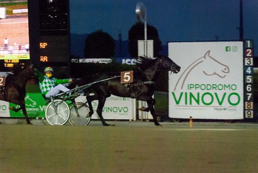 Ippodromo di Vinovo, sabato 21 novembre otto corse: Premio Toronto per intenditori