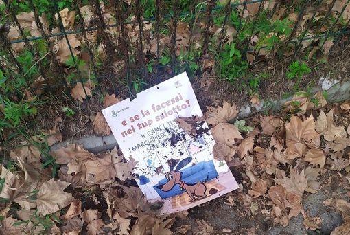 cartelli strappati nichelino