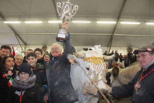 La Banca Alpi Marittime a sostegno della “Fiera del Bue grasso” di Carrù La Banca Alpi Marittime a sostegno della “Fiera del Bue grasso” di Carrù