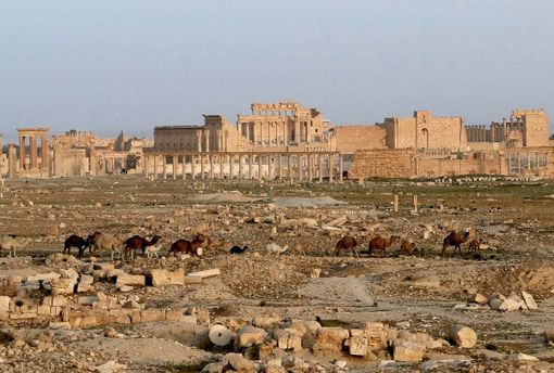 Palmyra, foto da Wikipedia