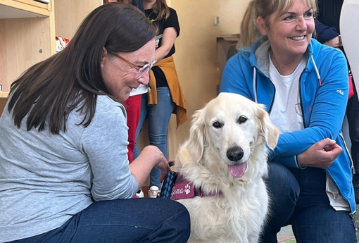 Carezze e giochi in pediatria: al via la pet therapy al Santa Croce Carezze e giochi in pediatria: al via la pet therapy al Santa Croce