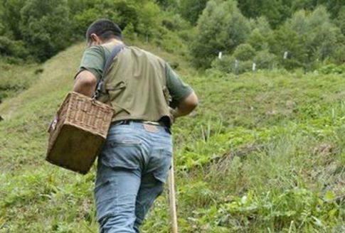 Piossasco, ritrovato il fungaiolo disperso sul Monte San Giorgio Piossasco, ritrovato il fungaiolo disperso sul Monte San Giorgio