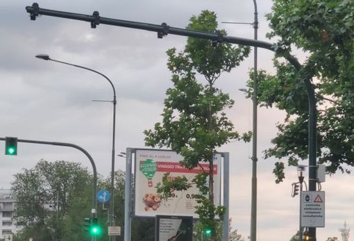 A Torino un nuovo T-Red, multe in arrivo per chi brucia il rosso