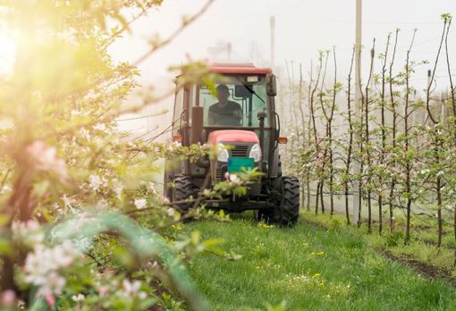 Villafranca Piemonte punta in alto con il suo Tractor Beer Fest