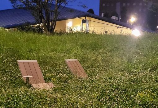 erba alta nichelino piazza moro erba alta nichelino piazza moro