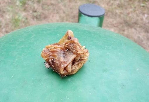 Bocconi di carne con spilli (foto di repertorio)