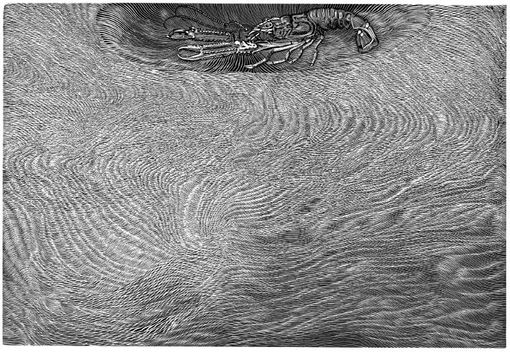 Scampo? di Guido Navaretti