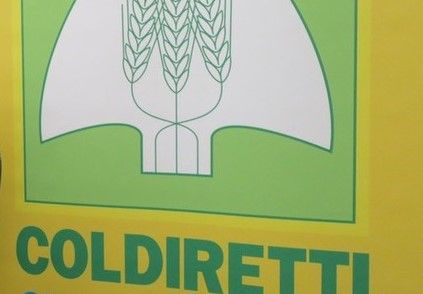 Coldiretti Piemonte: "Sulla cannabis occorre fare chiarezza per tutelare le imprese" Coldiretti Piemonte: "Sulla cannabis occorre fare chiarezza per tutelare le imprese"