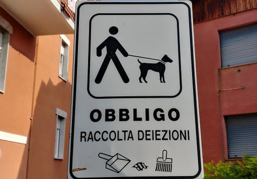 Cartello stradale indica l'obbligo di raccolta delle deiezioni canine Cartello stradale indica l'obbligo di raccolta delle deiezioni canine
