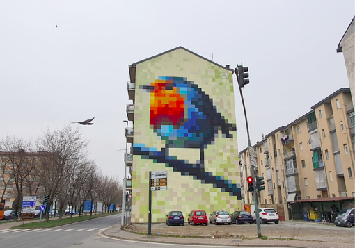 Il murales a forma di pettirosso in corso Piemonte Il murales a forma di pettirosso in corso Piemonte