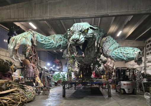 La tigre durante i lavori di preparazione nel capannone di Gemerello