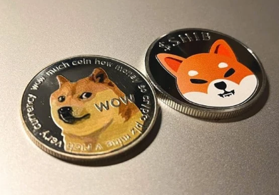 Shiba Inu, Dogecoin e Pepe registrano aumenti di prezzo mentre il token Sponge cresce seguendo la stessa tendenza